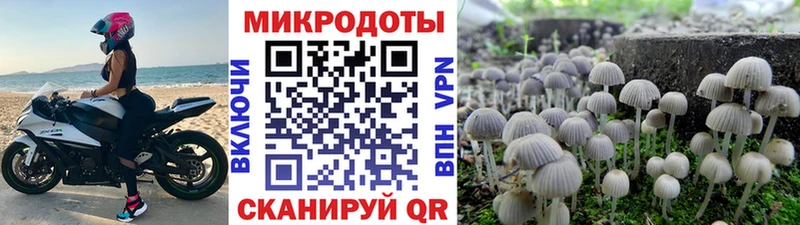 Псилоцибиновые грибы GOLDEN TEACHER  Красноармейск 